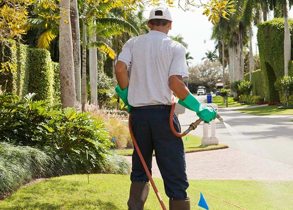 About Bullhead City AZ Pest Control Pros